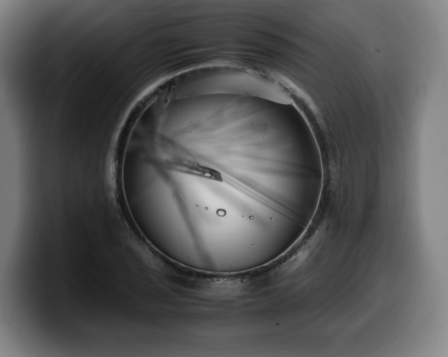 X0000099931029200805301154