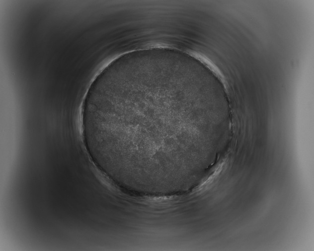 X0000099931031200805301154