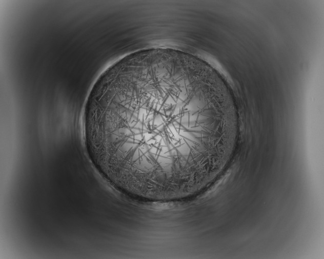 X0000099931032200805301154