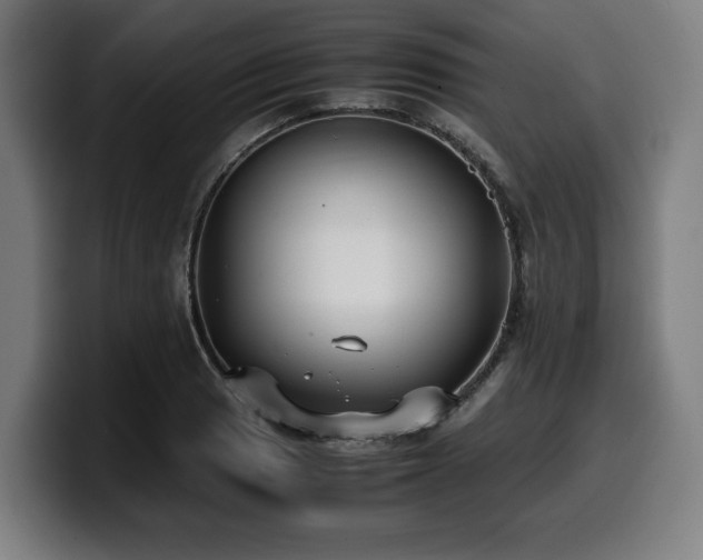 X0000099931033200805301154