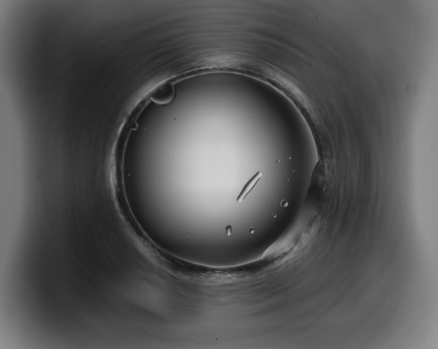 X0000099931034200805301154