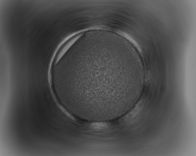 X0000099931037200805301154