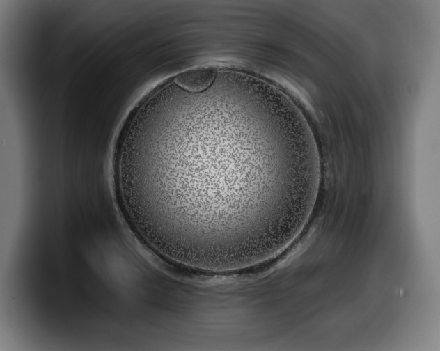 X0000099931038200805301154