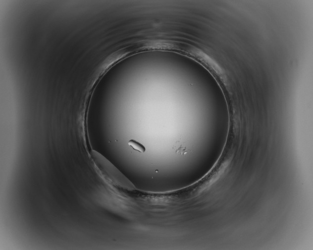 X0000099931041200805301154