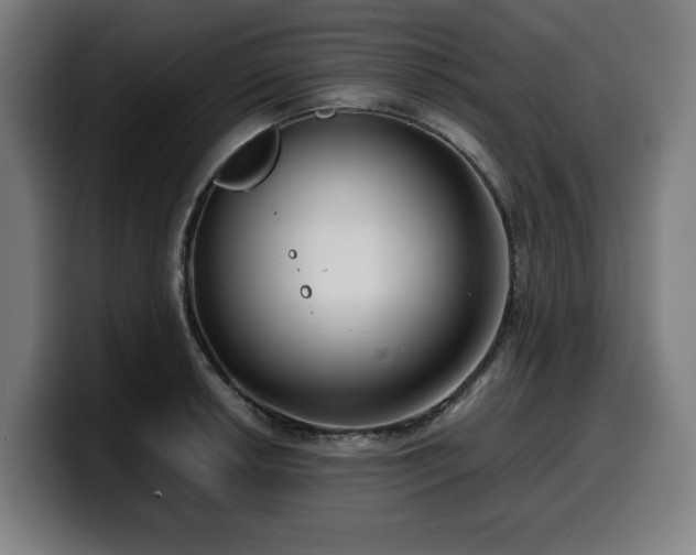 X0000099931042200805301154