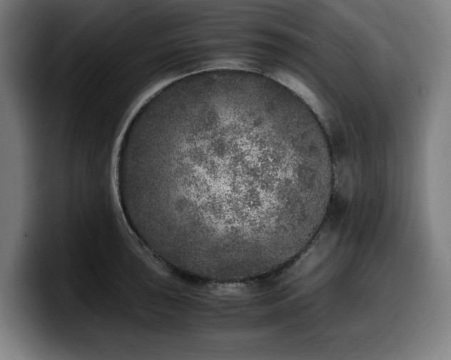 X0000099931043200805301154