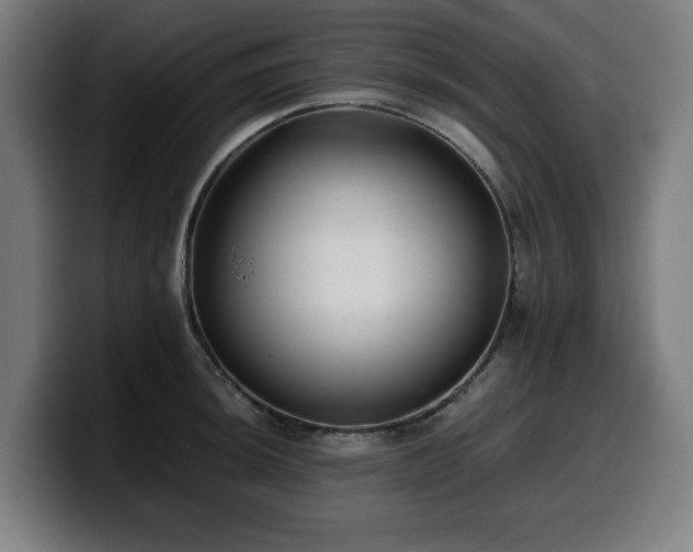 X0000099931044200805301154