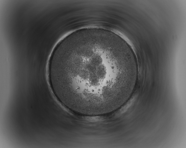 X0000099931045200805301154