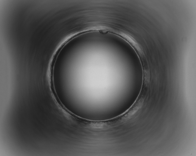 X0000099931046200805301154