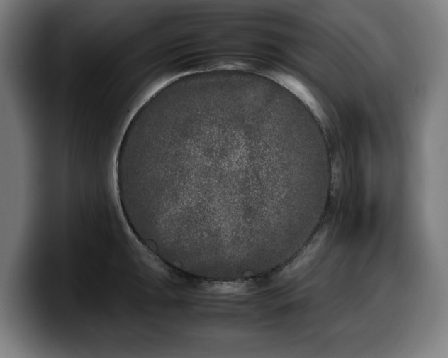 X0000099931047200805301154