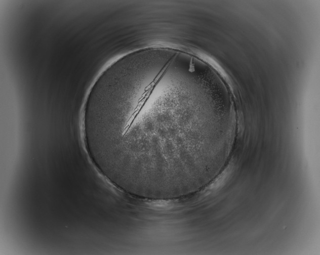 X0000099931048200805301154