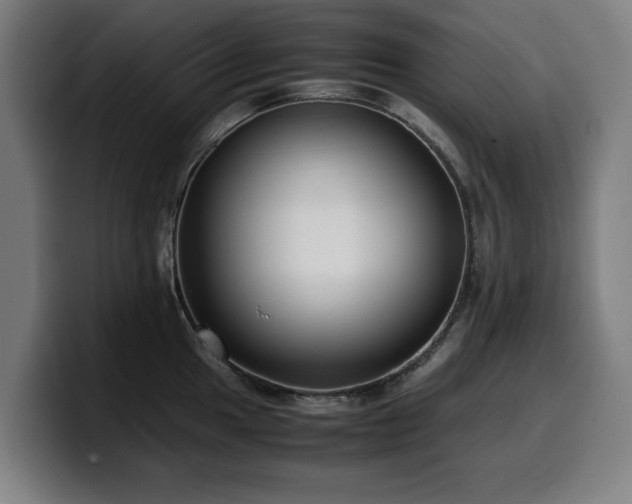 X0000099931049200805301154