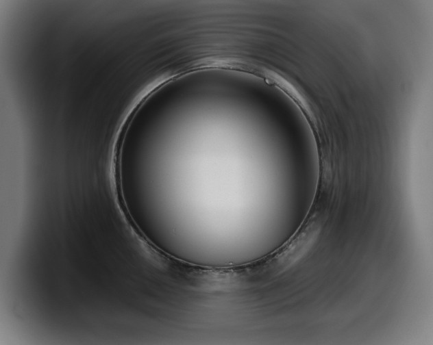 X0000099931050200805301154