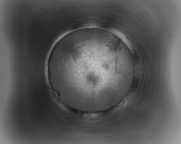X0000099931051200805301154