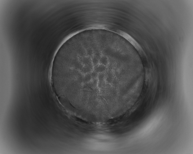 X0000099931052200805301154