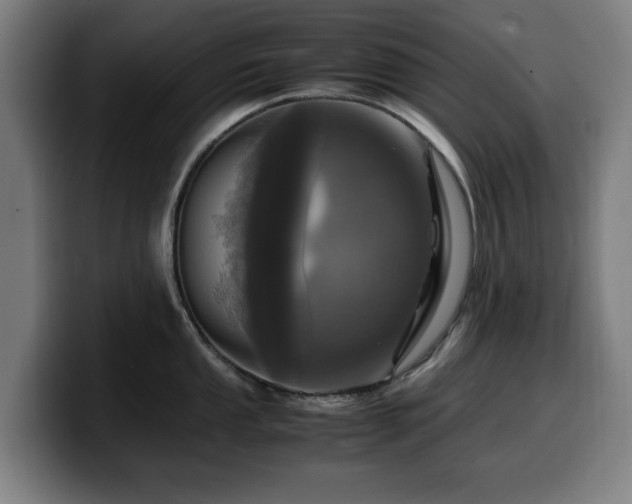 X0000099931053200805301154