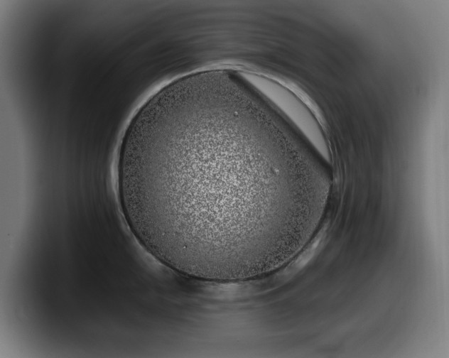 X0000099931054200805301154