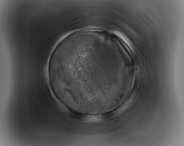 X0000099931055200805301154