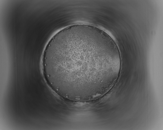 X0000099931056200805301154