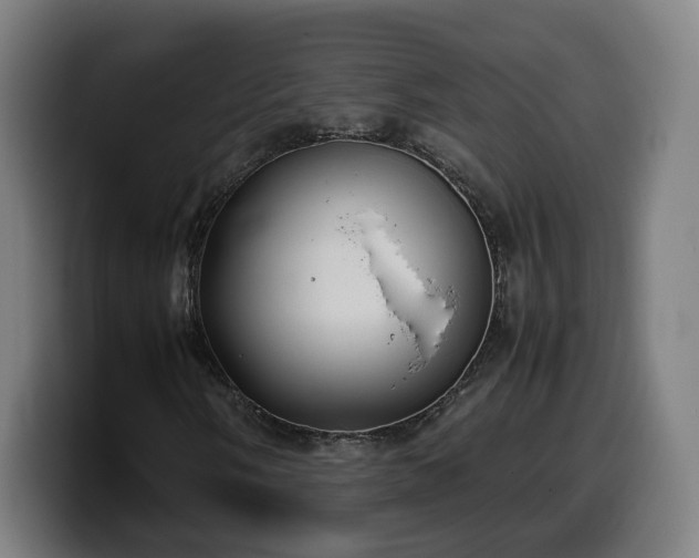 X0000099931058200805301154