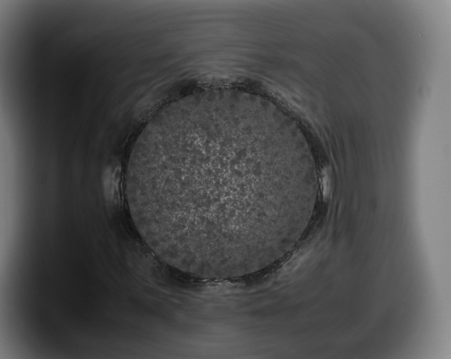 X0000099931059200805301154