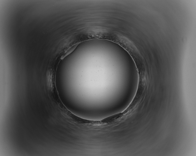 X0000099931060200805301154