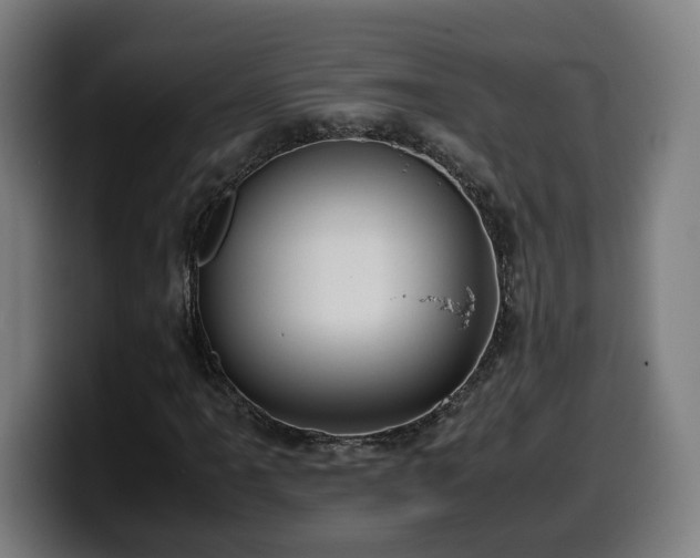 X0000099931061200805301154