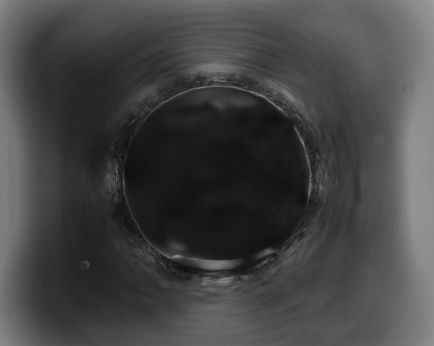 X0000099931062200805301154