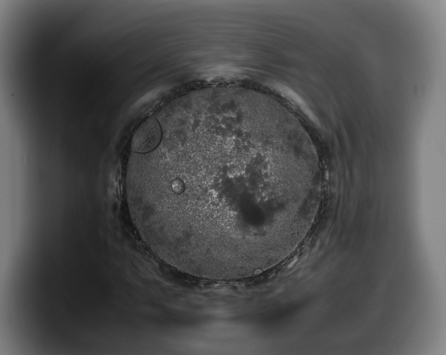 X0000099931063200805301154