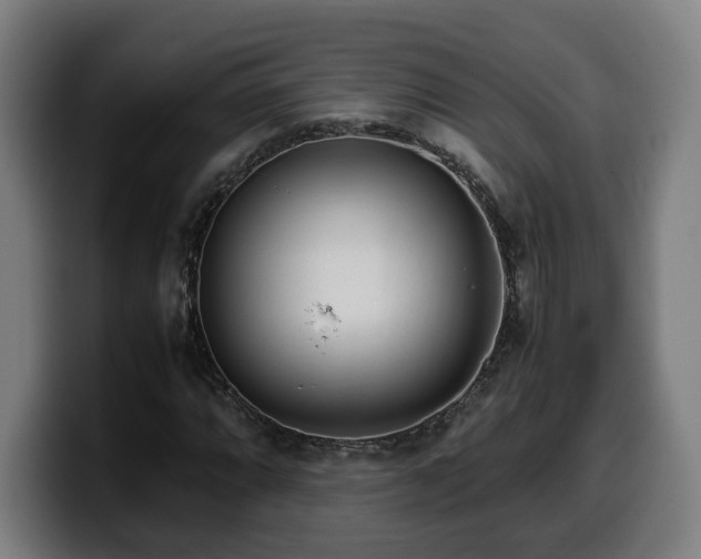 X0000099931064200805301154