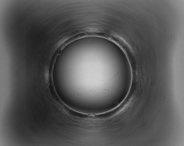 X0000099931065200805301154