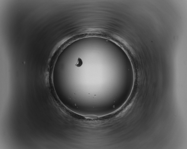 X0000099931066200805301153