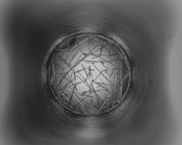 X0000099931067200805301153