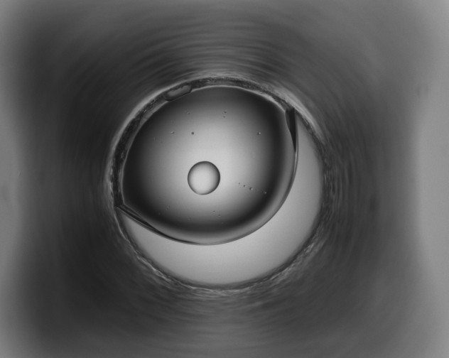 X0000099931068200805301153