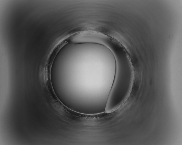 X0000099931069200805301153