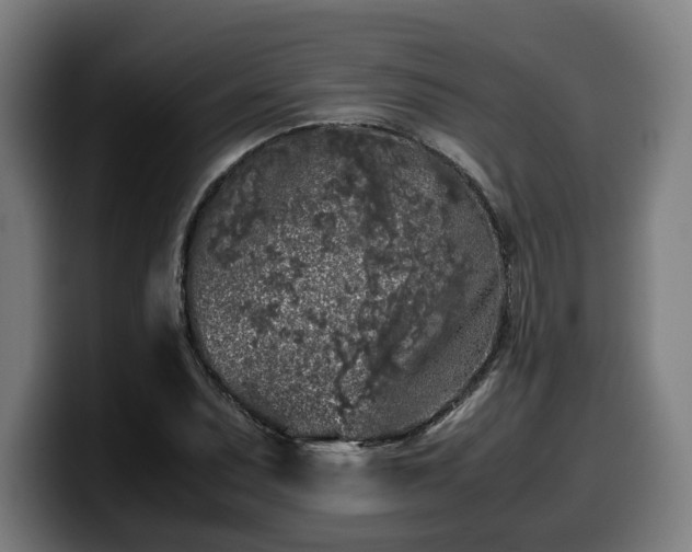 X0000099931071200805301153