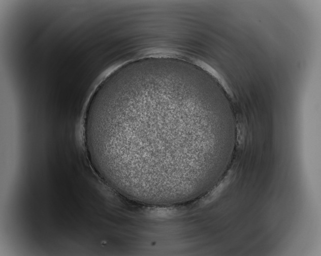 X0000099931074200805301153