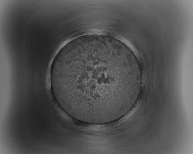 X0000099931075200805301153