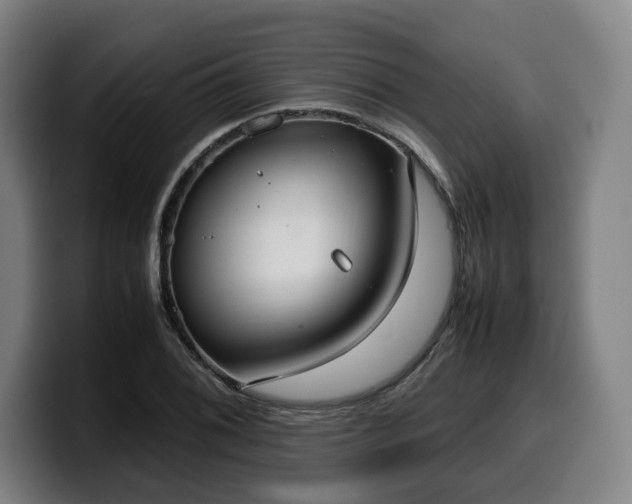 X0000099931076200805301153