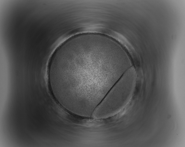 X0000099931077200805301153