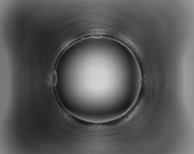 X0000099931081200805301153