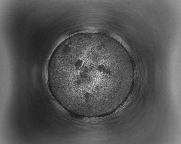 X0000099931083200805301153