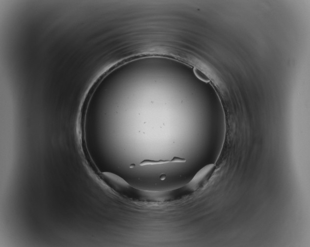 X0000099931084200805301153