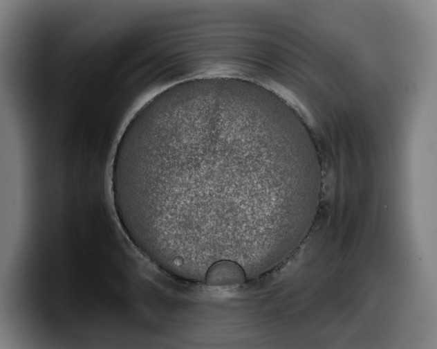 X0000099931086200805301153