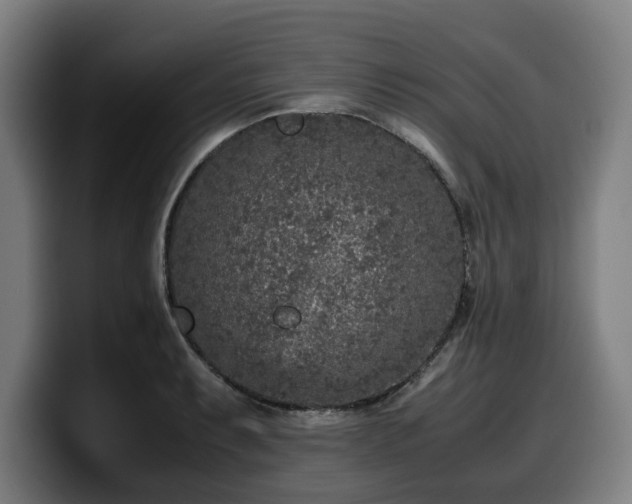 X0000099931087200805301153