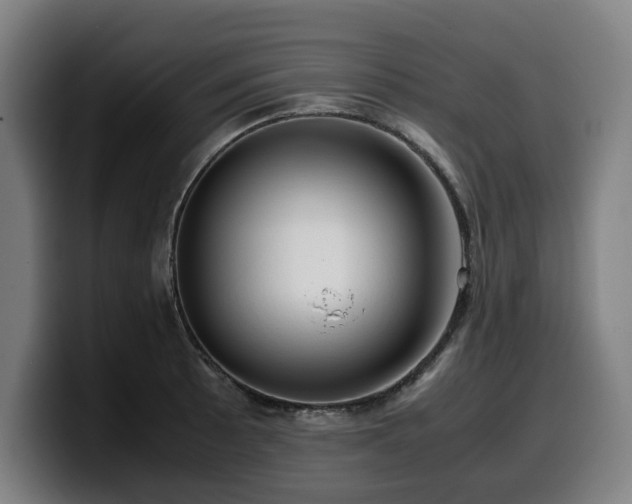 X0000099931089200805301153