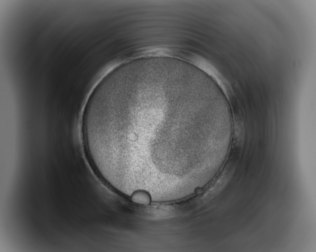 X0000099931090200805301153