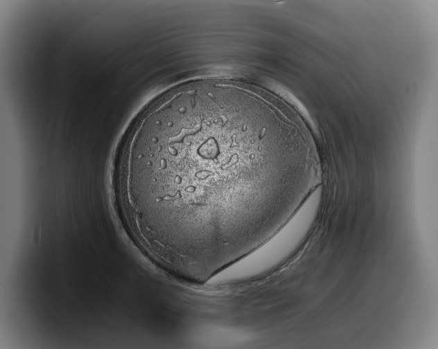 X0000099931091200805301153