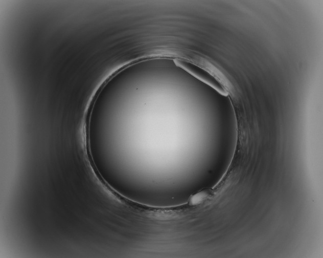 X0000099931092200805301153