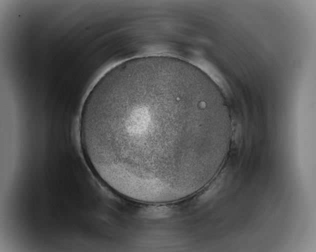 X0000099931094200805301153